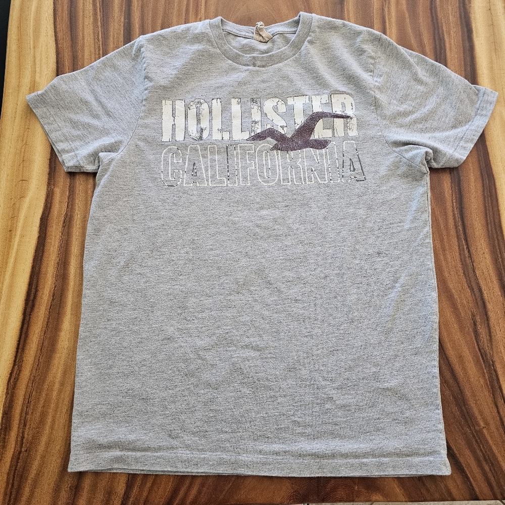 Hollister Mens tshirt